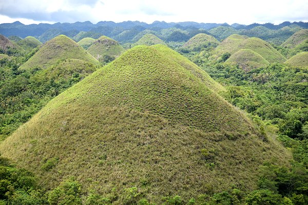 Chocolate Hills bei Carmen auf Bohol