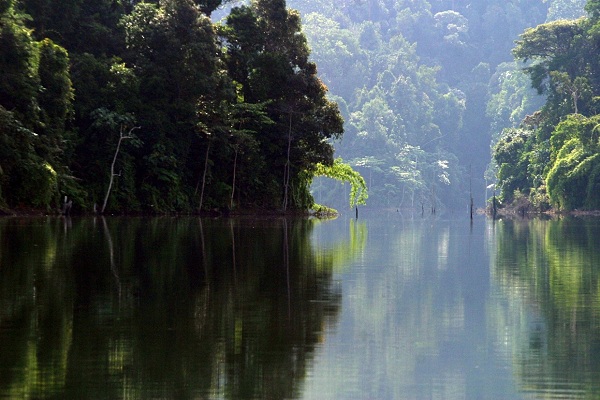 West-Malaysia und Taman Negara Nationalpark West-Malaysia und Taman Negara Nationalpark